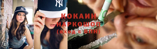 хмурый Алзамай