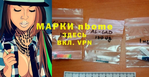 хмурый Алзамай