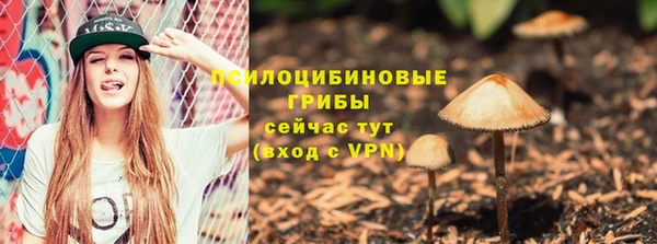 хмурый Алзамай