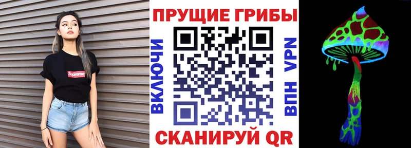 где продают   Гурьевск  Галлюциногенные грибы Cubensis 