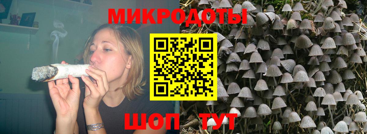 Псилоцибиновые грибы прущие грибы Гурьевск
